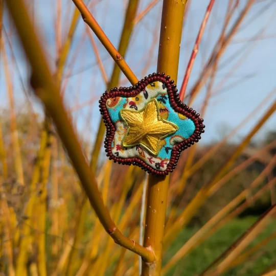 broche-etoile-couleurs-automne